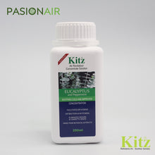 Load image into Gallery viewer, Kitz Eucalyptus and Peppermint concentrates soothes colds and provides concentration